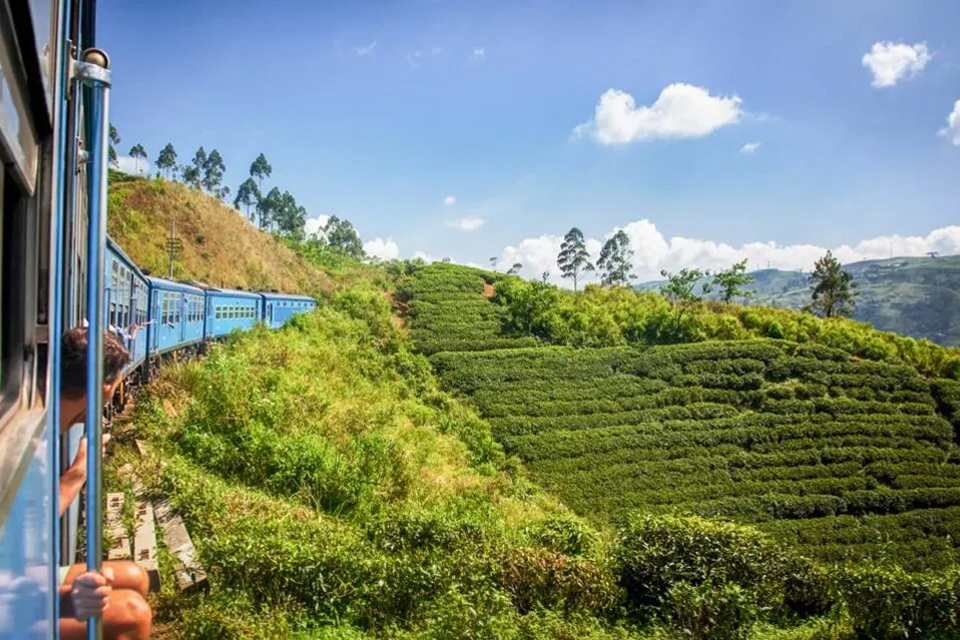 destination-nuwara-eliya