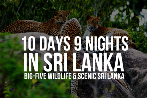 10 Days / 9 Nights in Sri Lanka – Big-Five Wildlife & Scenic Sri Lanka