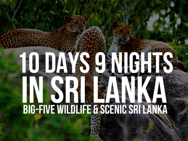 10 Days / 9 Nights in Sri Lanka – Big-Five Wildlife & Scenic Sri Lanka