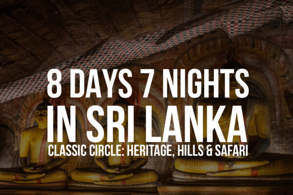8 Days / 7 Nights in Sri Lanka – Classic Circle: Heritage, Hills & Safari