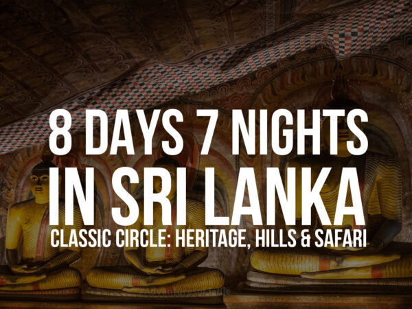 8 Days / 7 Nights in Sri Lanka – Classic Circle: Heritage, Hills & Safari