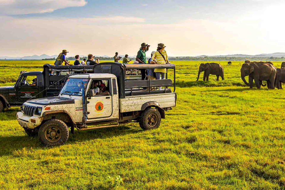 destination-habarana